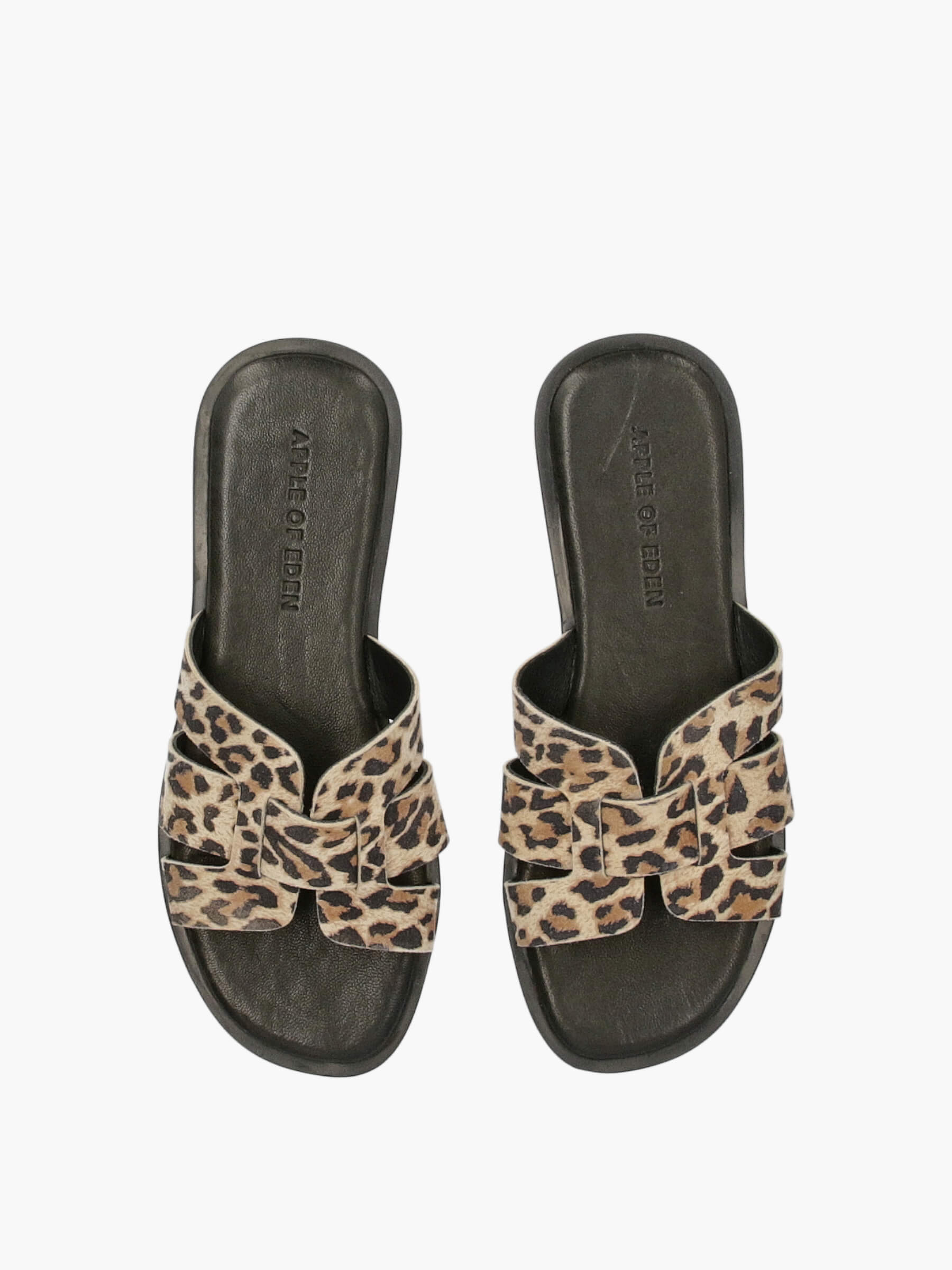 ALYCIA-Leo, Bekleidung, Schuhwerk, Sandale, Schuh