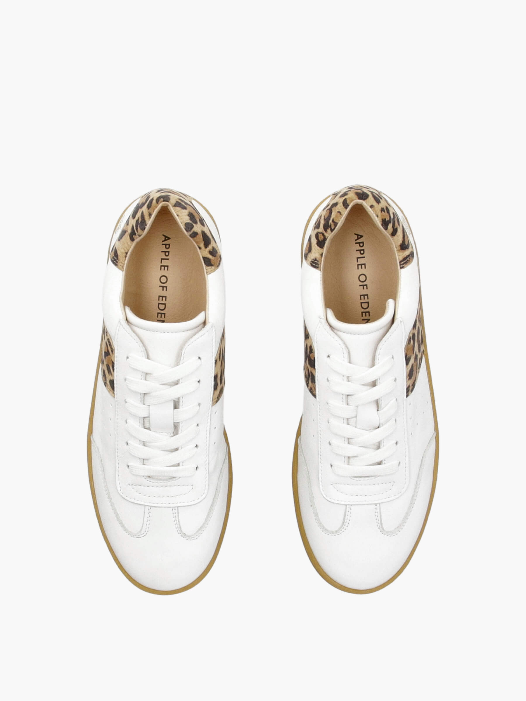 Bekleidung, Schuhwerk, Schuh, Sneaker, Leinwand, Bekleidung, Schuhwerk, Schuh, Sneaker, Leinwand, Bekleidung, Schuhwerk, Schuh, Sneaker, Leinwand, Bekleidung, Schuhwerk, Schuh, Sneaker, Leinwand