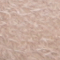 Sahara